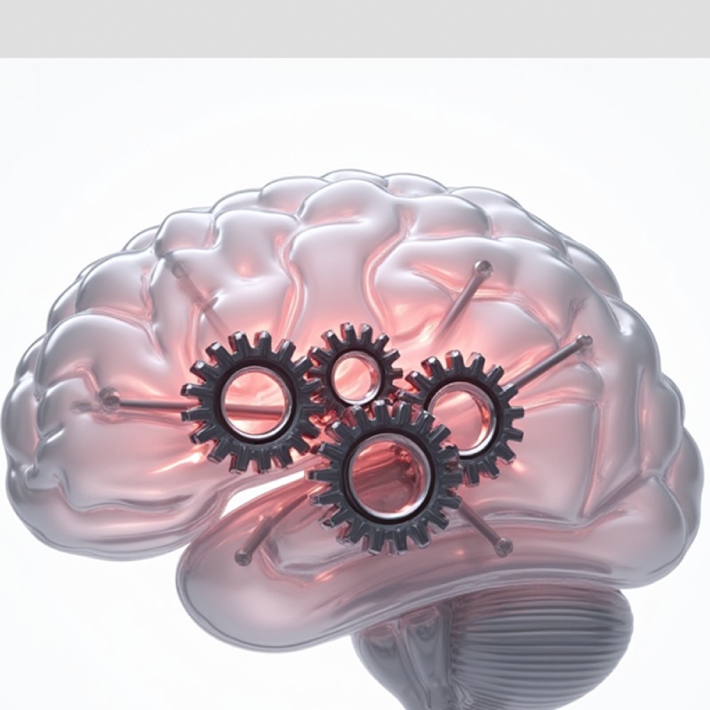 Put Neuromarketing to Work Today